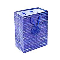 Gift Bags Happy Hanukkah Festival of Lights 6/12 Count (12)