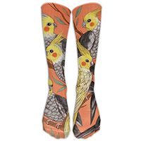 LXP FZD Cockatiel Fun Womens Athletic Crew Socks Fashion Boot Socks Long Socks Lightweight High Tube Socks