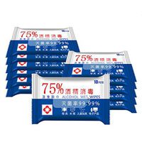 Wet Wipes for Adult, 75% Alcohol Personal Cleansing Wipes for Hands and Body, Disposable Wipes for All Daily Protection,10 Count