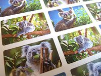 24 Koala Bear, Wildlife Animal Self-Adhesive Labels Stickers for Kids & Craft