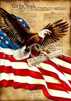 Hi-Look Microfiber Cleaning Cloth - Eagle & Flag