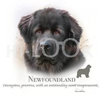 Hi-Look Microfiber Cleaning Cloth, dog design - Newfoundland