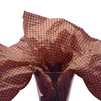 Black & White Daisies"Retro Flowers" Art DIY Crafts Tissue Paper for Gift Wrapping 20"X30" 5 Sheets