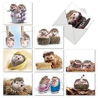 Assortment of 10 Blank Greeting Cards for Every Occasion - ‘Cards from the Hedge’ Hedgehog Fun Note Card (4 x 5.12 Inch) Stationery Set with White Envelopes M6541OCB