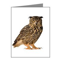 Note Card Eurasian Eagle Owl