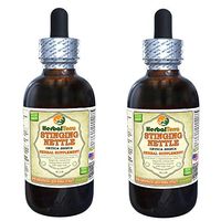 Stinging Nettle (Urtica Dioica) Tincture, Organic Dried Leaves Liquid Extract (Brand Name: HerbalTerra, Proudly Made in USA) 2x2 fl.oz (2x60 ml)