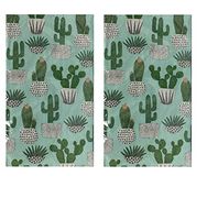 Potted Cactus Disposable 2-Ply Paper Napkins Guest Towels Set of 2 Packs 20 ct per package