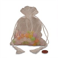 White Organza Favor Bags 5" X 6 1/2" | Quantity: 20