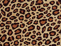 5ct. Animal Print Tissue Paper 15"x20" Sheets Gift Wrap Leopard Zebra Paw Giraffe (Standard Leopard) ngKE1952
