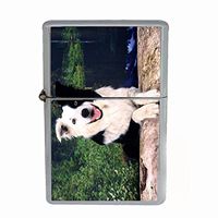 Dog Border Collie 03 Dual Torch Lighter
