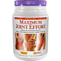 Andrew Lessman Maximum Joint Effort - 60 Packets – Research Established Ingredients and Levels for Support of Healthy Joints. with Glucosamine Sulfate, Chondroitin Sulfate, MSM and Curcumin