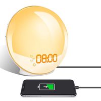 TITIROBA Wake-Up Light, Sunrise Simulation Alarm Clock, Sleep Aid Colored Bedside Light with FM Radio Dual Alarm Adjustable Lightness for Kids and Adults Bedroom (Renewed)