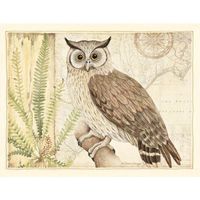 LANG Owl Sanctuary Note Cards