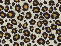 10ct Black & Gold Leopard Animal Print Vanilla Tissue Paper Wrapping 20"x30" Sheets nfLG -804