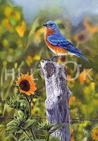 Hi-Look Microfiber Cleaning Cloth - Sunflower Fields