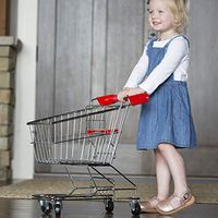 Fat Brain Toys Let's Shop! Stainless Steel Grocery Cart Imaginative Play for Ages 3 to 4