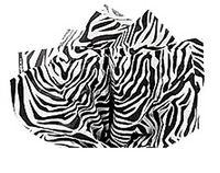 Animal Print Tissue Paper 15 x 20 - Zebra