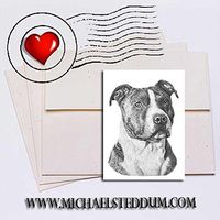 Michael Steddum American Staffordshire Terrier Pencil Note Card Set