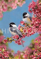 Hi-Look Microfiber Cleaning Cloth - Chickadee Quartet