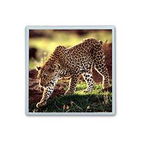 XIANN Care Contact Lens Box Holder Container Case Storage Eyecare Kit -Leopard
