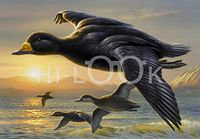 Hi-Look Microfiber Cleaning Cloth - Black Scoters