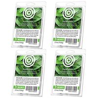 I & Candle Aromatherapy Wax Melts. 100% Soy Wax. (Eucalyptus (4 Pack))
