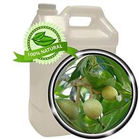 Kukui Nut Oil - 128 oz (1 gallon)- 100% Natural, Cold-pressed