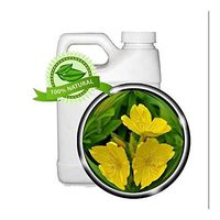 Evening Primrose Oil - 64oz - Wildcrafted, Cold-pressed (No solvents)