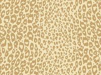 Animal Print - Golden Cheetah 7-3/8"x100' Gift Wrap Jeweler's Roll (1 roll) - Wraps -M5491JW