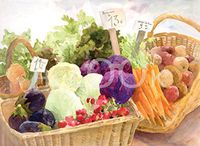 Hi-Look Microfiber Cleaning Cloth - Of Cabbagen Things