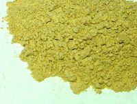 Astragalus Root Powder 1lb