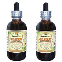 Bilberry (Vaccinium Myrtillus) Tincture, Dried Berries Liquid Extract (Brand Name: HerbalTerra, Proudly Made in USA) 2x4 fl.oz (2x120 ml)