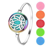 Garden Charms Rainbow Aromatherapy Essential Oils Diffuser Bracelet Locket Bangle with 5 Pieces Felt Pads (Lotus)