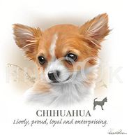 Hi-Look Microfiber Cleaning Cloth, dog design - Chihuahua