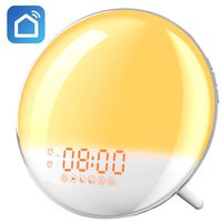 Sunrise Alarm Clock, AUSPICE Wake Up Light with FM Radio/Dual Alarm/7 Nature Sounds & Light Colors/Snooze/20 Brightness, Sleep Aid Lamp Dawn Simulator for Heavy Sleepers/Kids/Teen Girls Boys Bedrooms