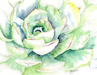 Desert Cactus Blank Note Card Assortment: 4 Artistic All Occasion Watercolor Cards, with Envelopes