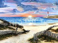 Hi-Look Microfiber Cleaning Cloth - Natures Path