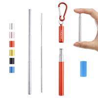 Yagote Reusable Collapsible Straws with Aluminum Case Cleaning Brush Keychain Silicone Tip Stainless Steel Drinking Straw for Home, Travel, Office (1 Pack-Red)