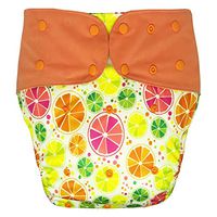 Cloth Diaper Cover - Reusable Special Needs Incontinence Briefs for Big Kids, Teens and Adults (Citrus, Regular)