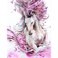 Meidexian888 DIY 5D Diamond Painting,Mother's Day gifts Rhinestone Pasted Canvas 30x40cm (C)