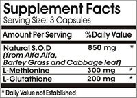 Advanced Metabolic Enzyme 180 Capsules ~ Renevitol