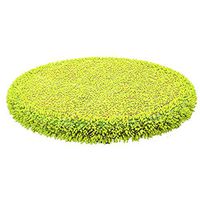 JPK SX Spin Scrubber Replacement Coral Fluff Flat Brush - 1pc