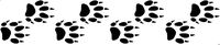 Kate KLC Ferret Paw Prints Animal Car Bumper Vehicle Sticker Funny Humour Animal Pet Van Bike Motorbike Boat Wall Laptop Ipad Window Made in USA