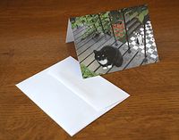 Tuxedo Cat Blank Notecards, Set of Five with Matching Envelopes, Cat Gifts for Cat Lovers By Deborah Julian Art