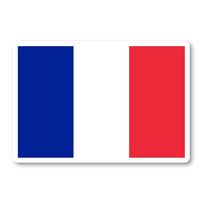 France Flag French Flag Sticker Flags Stickers - Laptop Stickers - 4" Vinyl Decal - Laptop, Phone, Tablet Vinyl Decal Sticker S140782