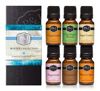 Winter Set of 6 Premium Grade Fragrance Oils - Cinnamon, Gingerbread, Sugar Cookies, Harvest Spice, Peppermint, Christmas Wreath - 10ml
