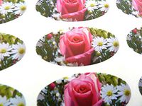 Minilabel Pack Of 30 , Pink Rose Flower Seals , 51X25mm Oval Seal Labels, Stickers For Gift Wrapping, Presents, Envelopes, Bags Or Cards