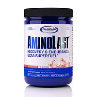 Gaspari Nutrition Amino Last Fruit Punch, 30 Count
