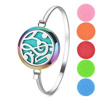 Garden Charms Aromatherapy Essential Oils Diffuser Bracelet Locket Bangle with 5 Pieces Felt Pads-Rainbow (Musical)