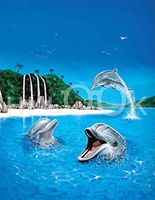 Hi-Look Microfiber Cleaning Cloth - Dolphin Family